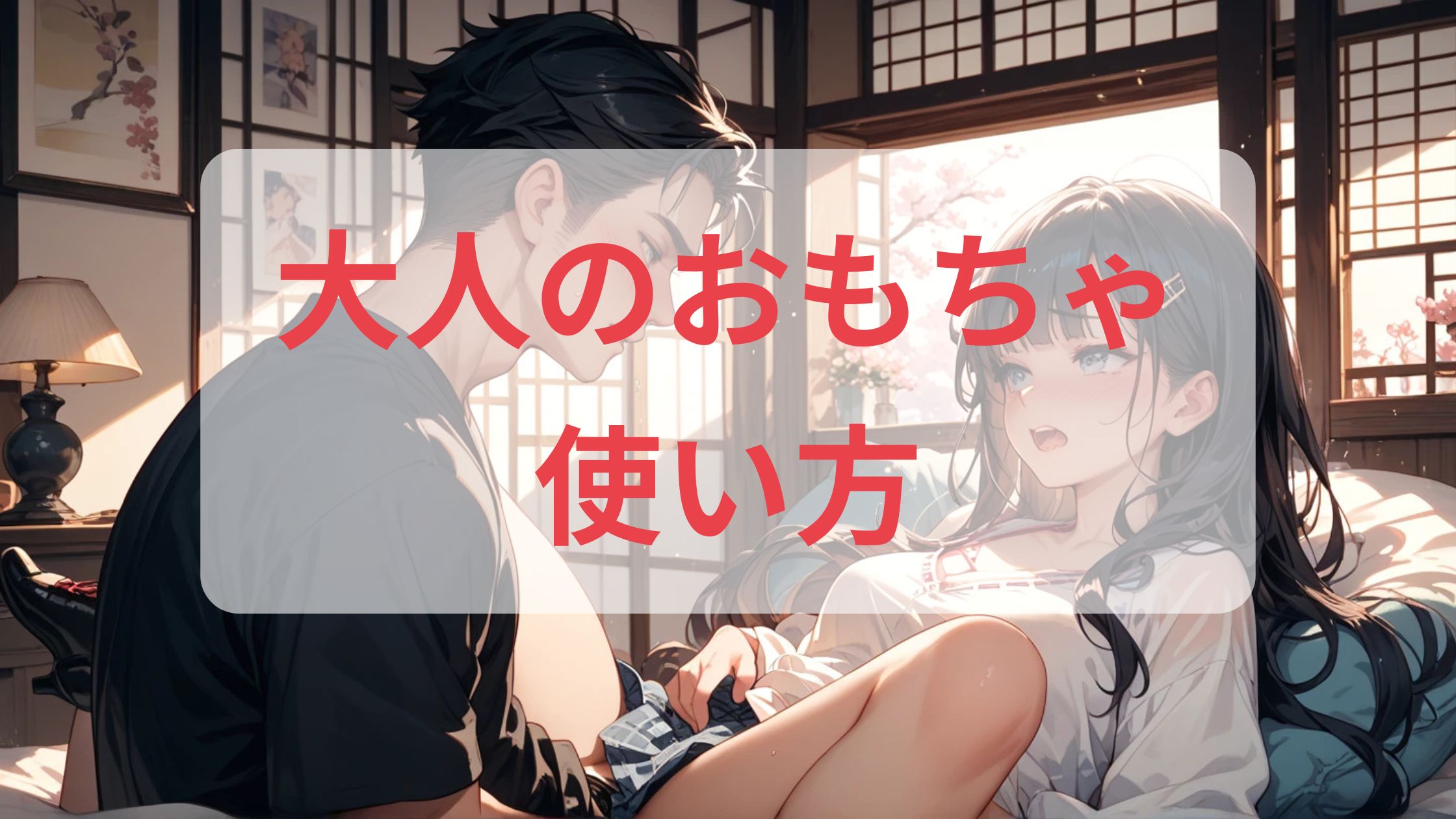大人のおもちゃ使い方